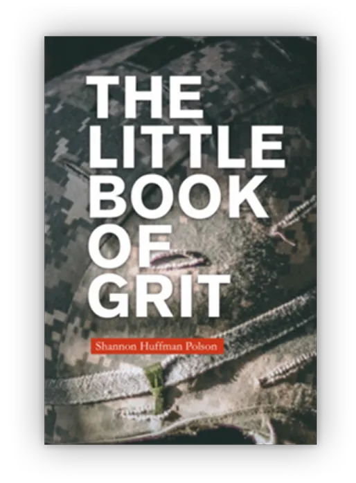 Book cover featuring bold typography over a textured background