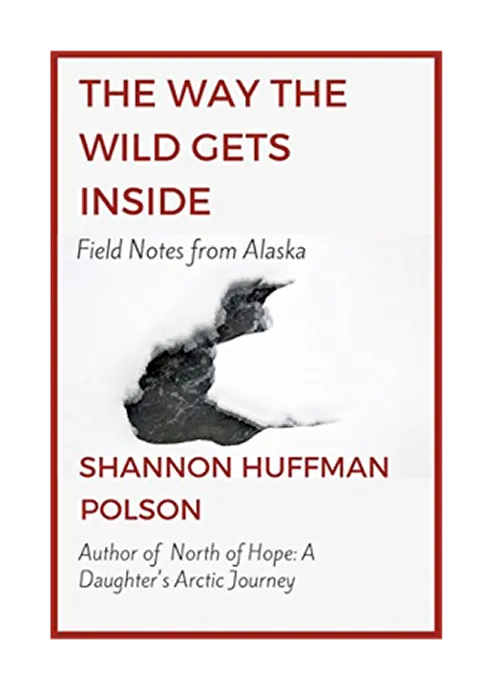 Book cover with abstract artwork and minimalist design
