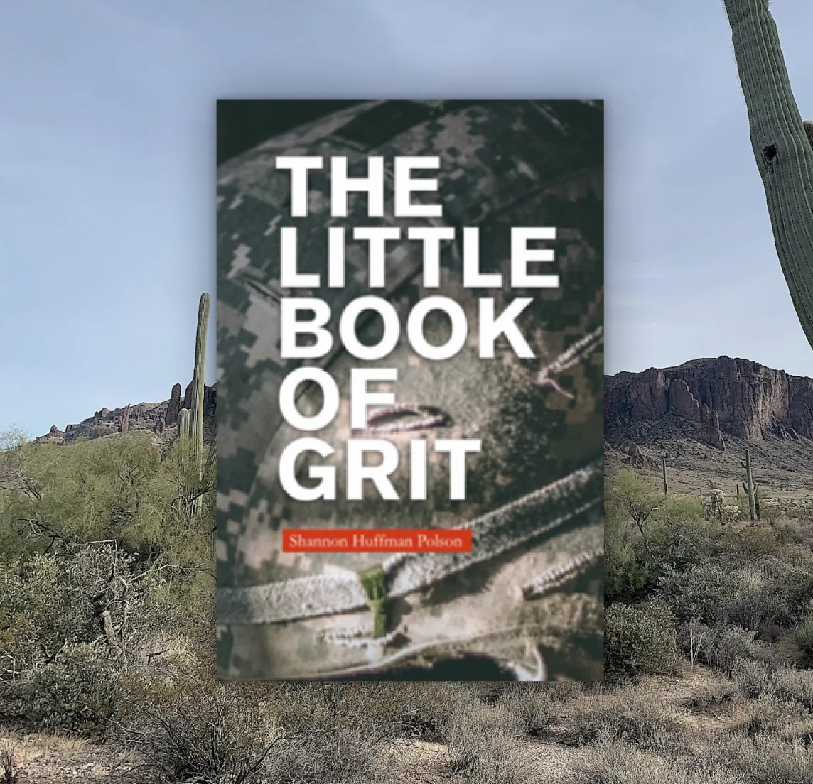 Book cover displayed in a desert landscape with cacti