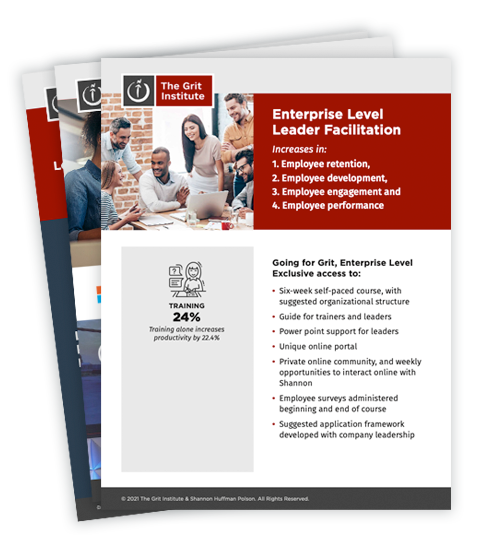 EnterpriseLevelPDFpreview